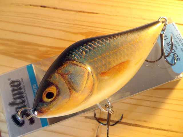 B-Salmo12-004.jpg