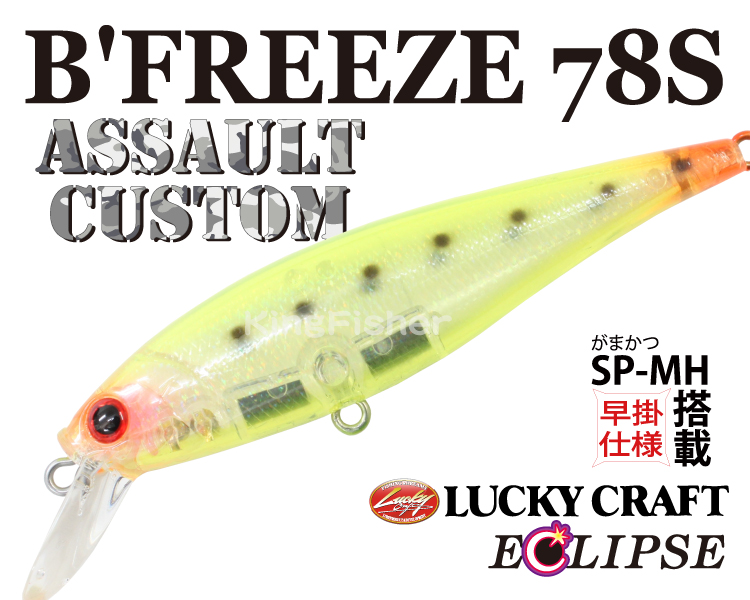 Bfreez78S_Assault_094.jpg