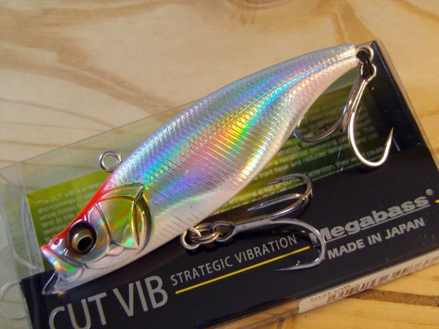 CUTVIB-06.jpg CUTVIB-06.jpg
