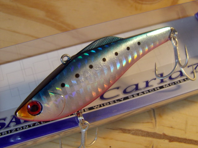 Carla75-11.jpg