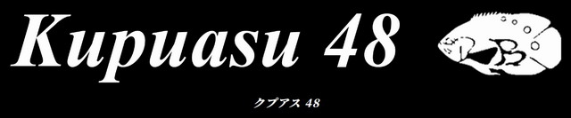 カルテラス　クプアス48