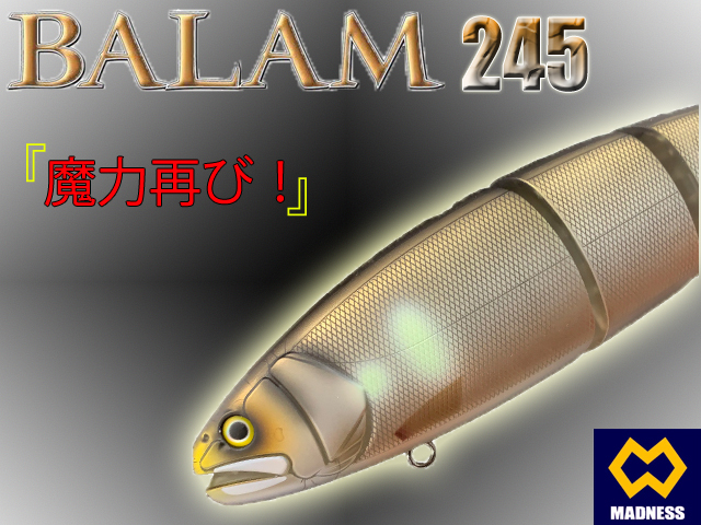 MDNS-BL245-02.jpg