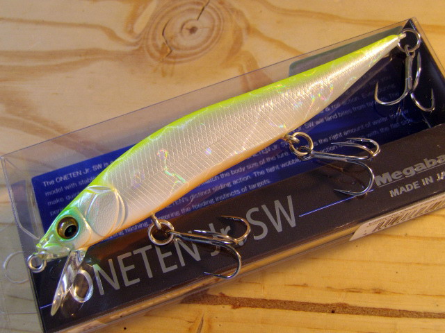 ONETENJr-SW11.jpg