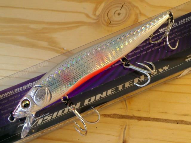 ONETENSW-Z11.jpg
