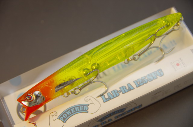PD-PLR125-NEW-003.jpg