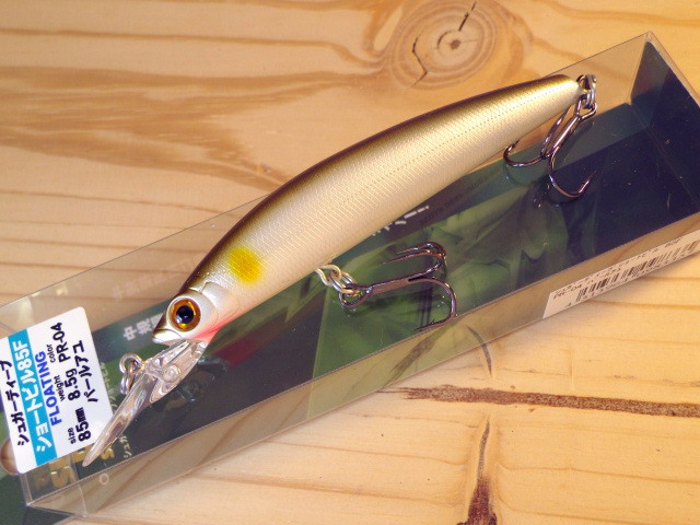 SHORTBILL-005.jpg