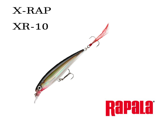 X-RAP-XR-10-A014.jpg