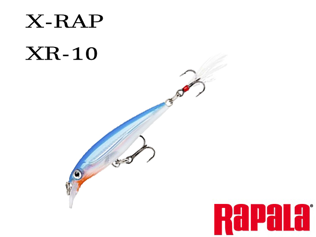 X-RAP-XR-10-A015.jpg