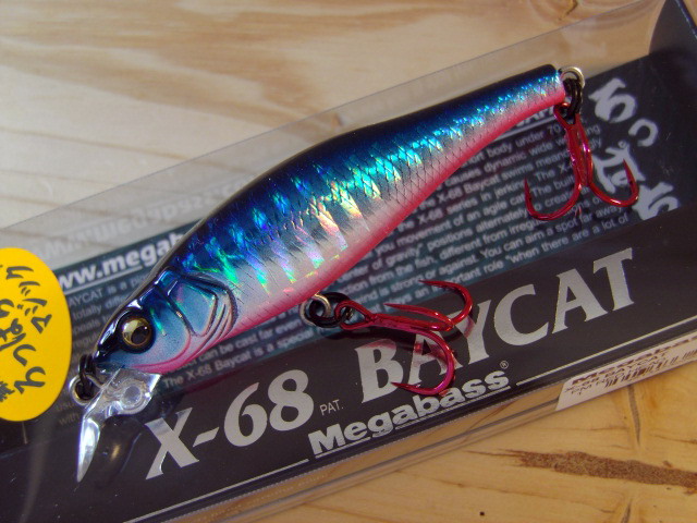 X68BAYCAT-08.jpg