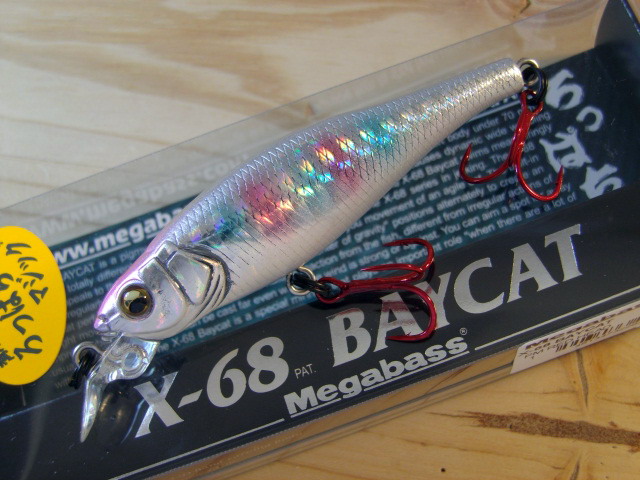 X68BAYCAT-10.jpg