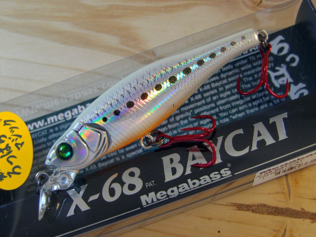 X68BAYCAT-22.jpg X68BAYCAT-22.jpg