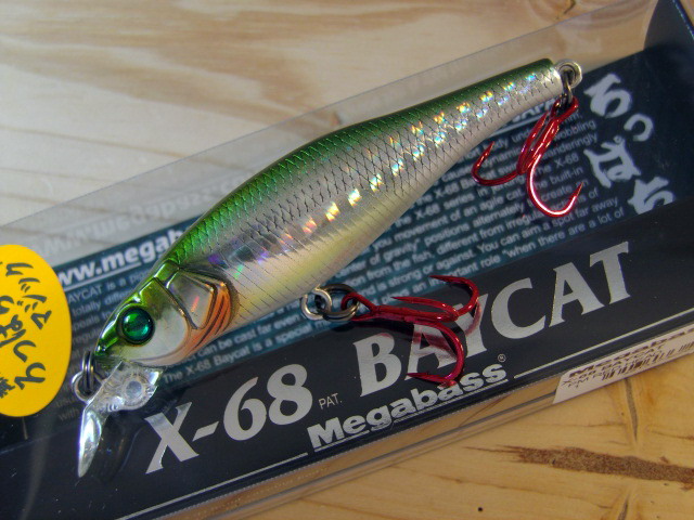 X68BAYCAT-25.jpg