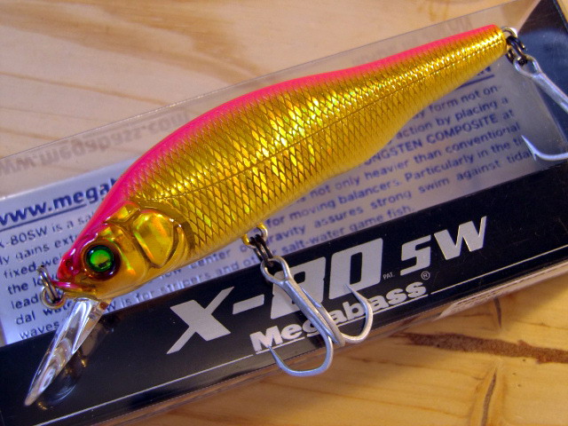 X80SW-027.jpg