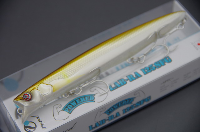 ZAP-PWR125SFG-NEW01.jpg