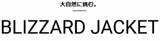 ブリザードジャケット