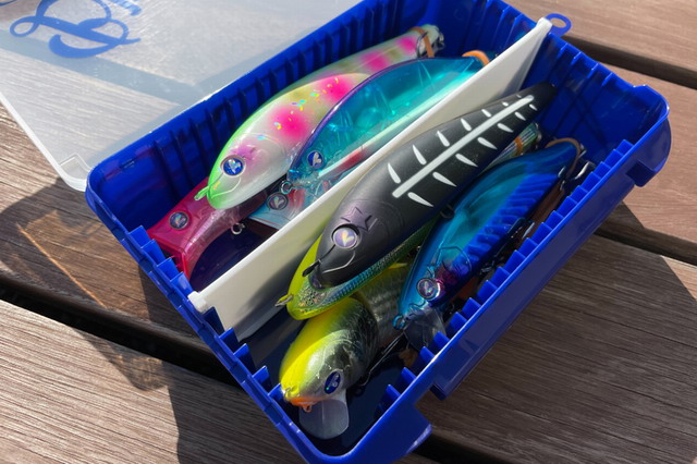 ブルーブルー　ケース深型