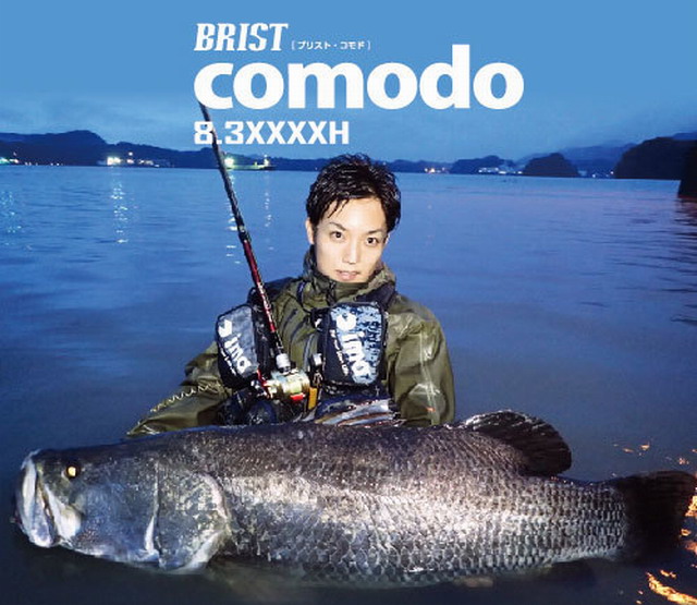 フィッシュマン ブリスト コモド8.3XXXXH （Fishman BRISTCOMODO8