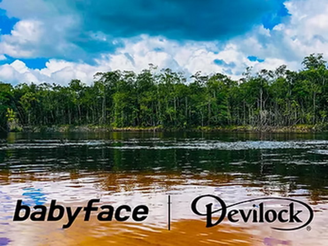 babyface×DEVILOCK コラボ商品 限定 SM95-S 95mm/30g 【シーバスルアー