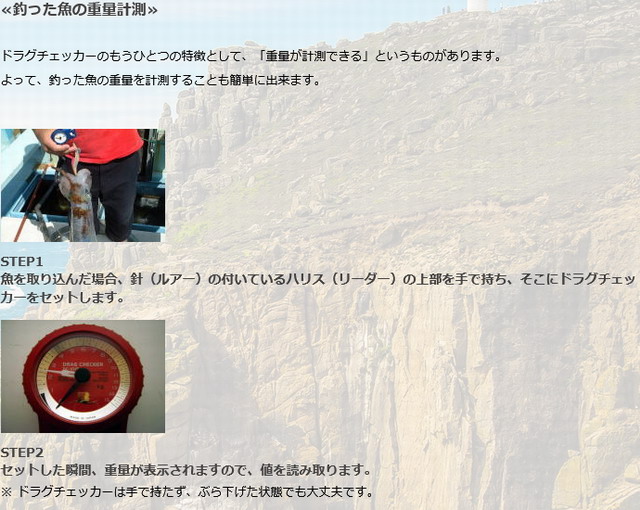 櫻井釣漁具(株) ドラグチェッカー 【シーバスルアー専門店