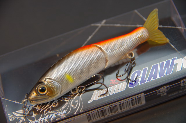 gan-jc70F-anas001.jpg