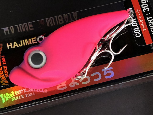 ウォーターランド（WaterLand） ぎょろっち 78mm/30g 【シーバス