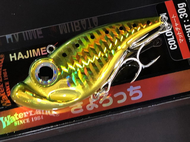 ウォーターランド（WaterLand） ぎょろっち 78mm/30g 【シーバス