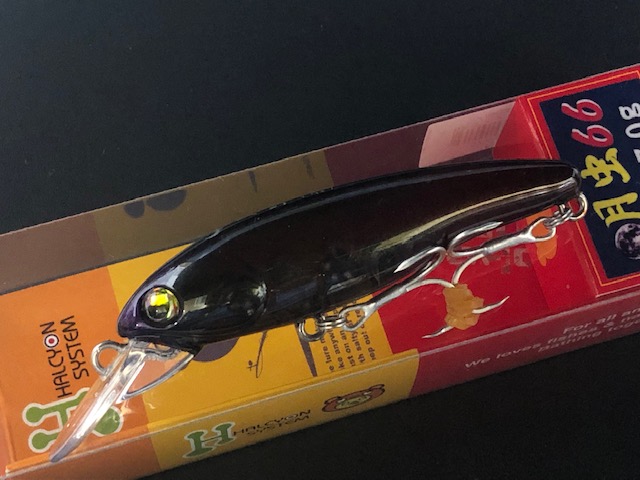 ハルシオンシステム 月虫66 <沈> 66mm/7g【シーバスルアー専門店