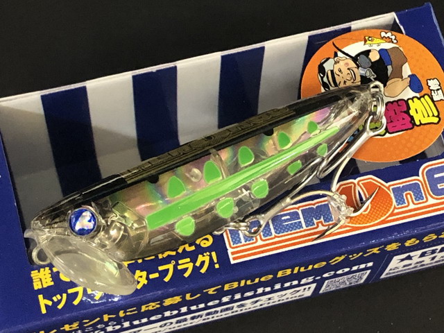 プルメリア6鉢　不明株おまけ ITA/JF】プルメリア鉢 キャプティベイト 6寸 ※単独発送・同梱