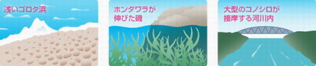 アイマ コモモSF-145