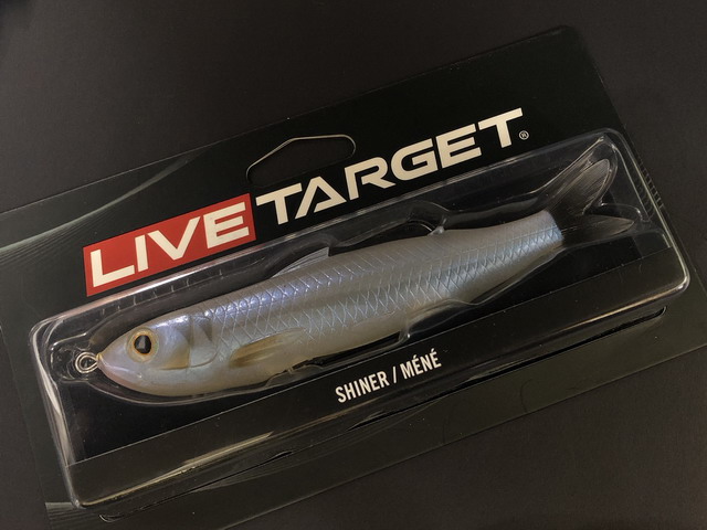 ライブターゲット（LIVE TARGET） ホロ―ボディ シャイナー 135mm