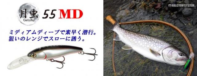 ハルシオンシステム 月虫55MD<沈> 【シーバスルアー専門店