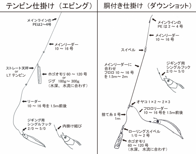 Fish Arrow(フィッシュアロー)　Flash-J Saber 11