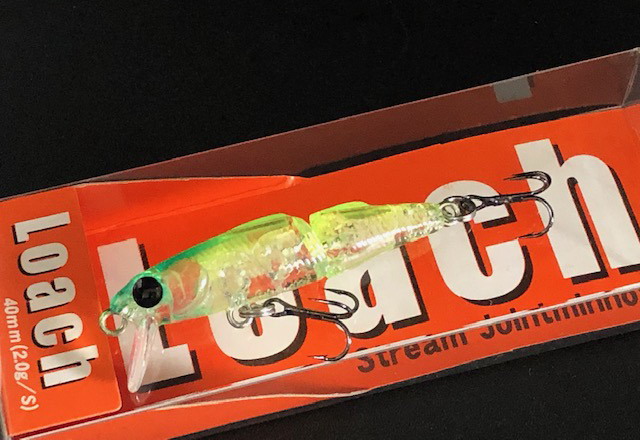 loach40-03.jpg