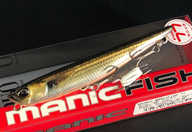 manicfish77-01.jpg