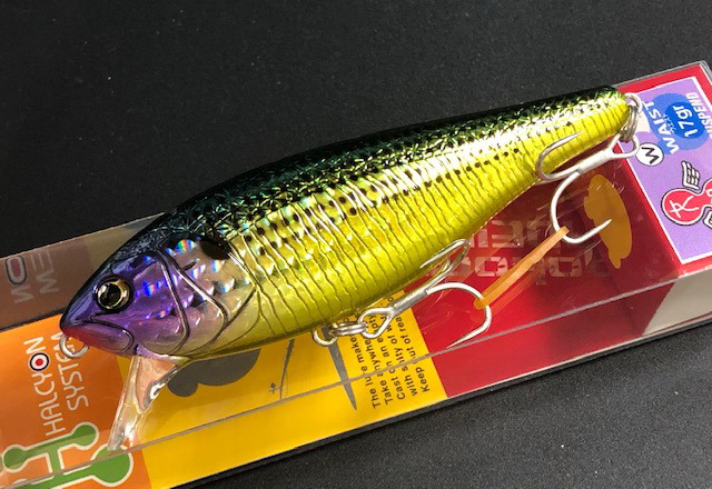 mehada17g-03.jpg