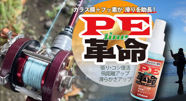 フィッシュマン PE革命 【シーバスルアー専門店 キング