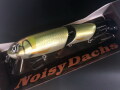 noisyd-01.jpg