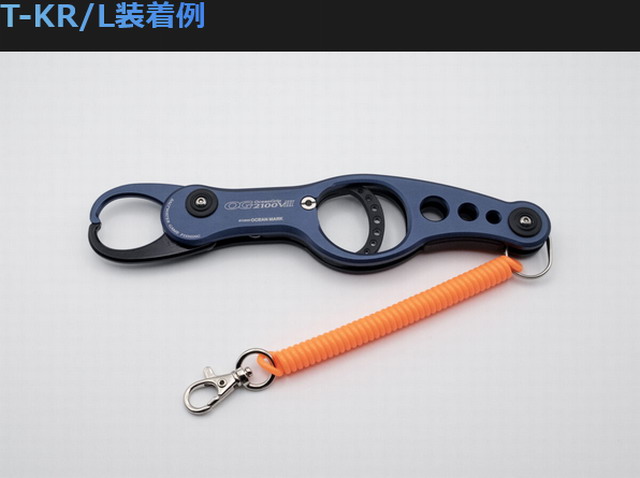 スタジオオーシャンマーク　トラックキーリング