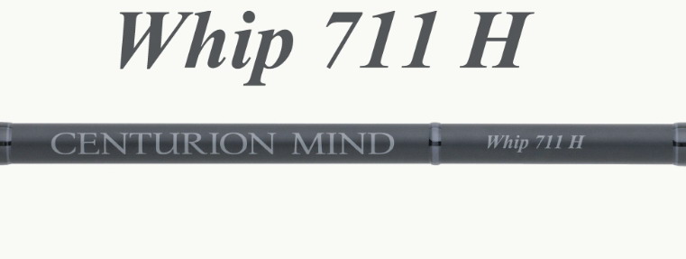 whip711H